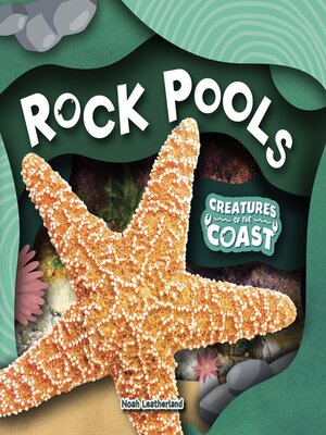 cover image of Rock Pools